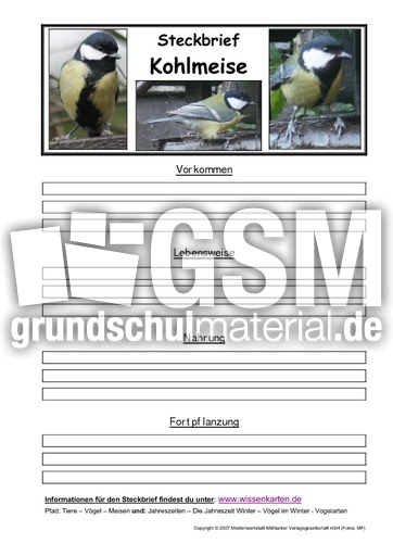 Steckbrief-Kohlmeise.pdf